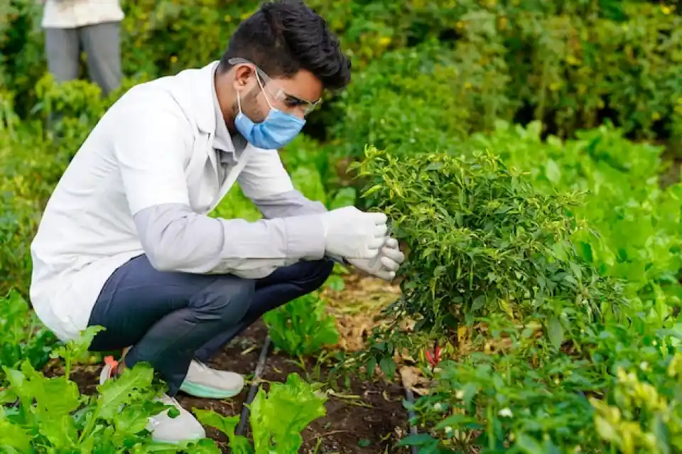 Humic Acid Supplier in Visakhapatnam: Boostin..