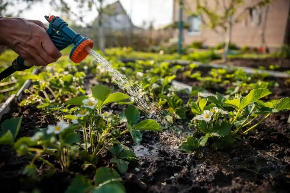 Humic Acid Supplier in Tirupattur: The Organi..