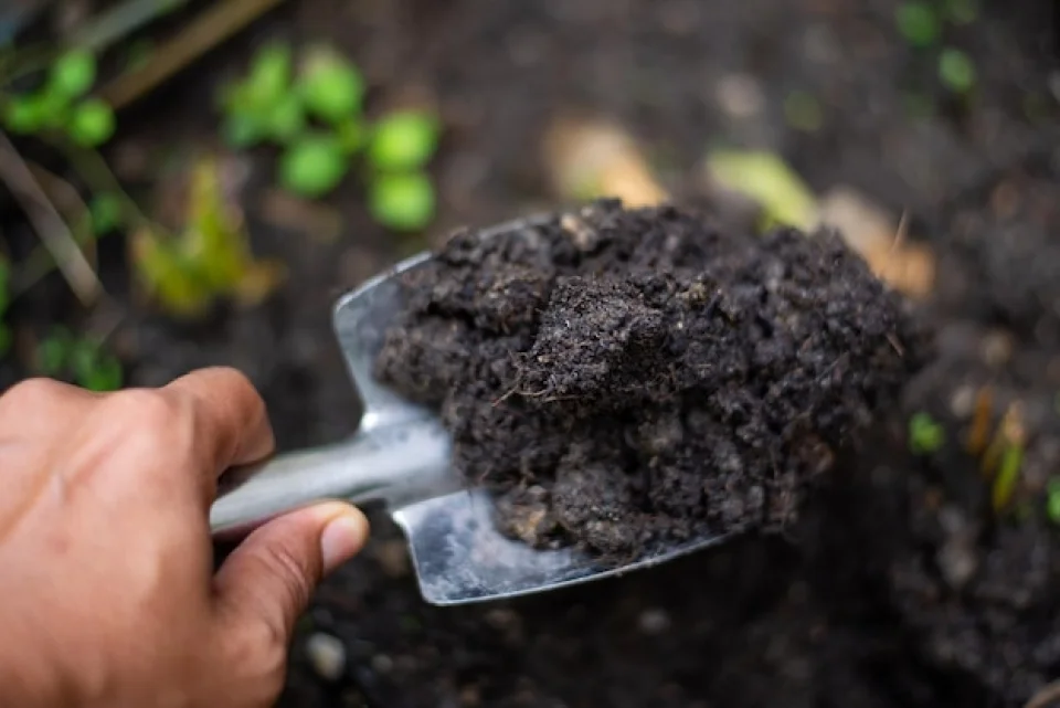 Humic Acid Supplier in Solan