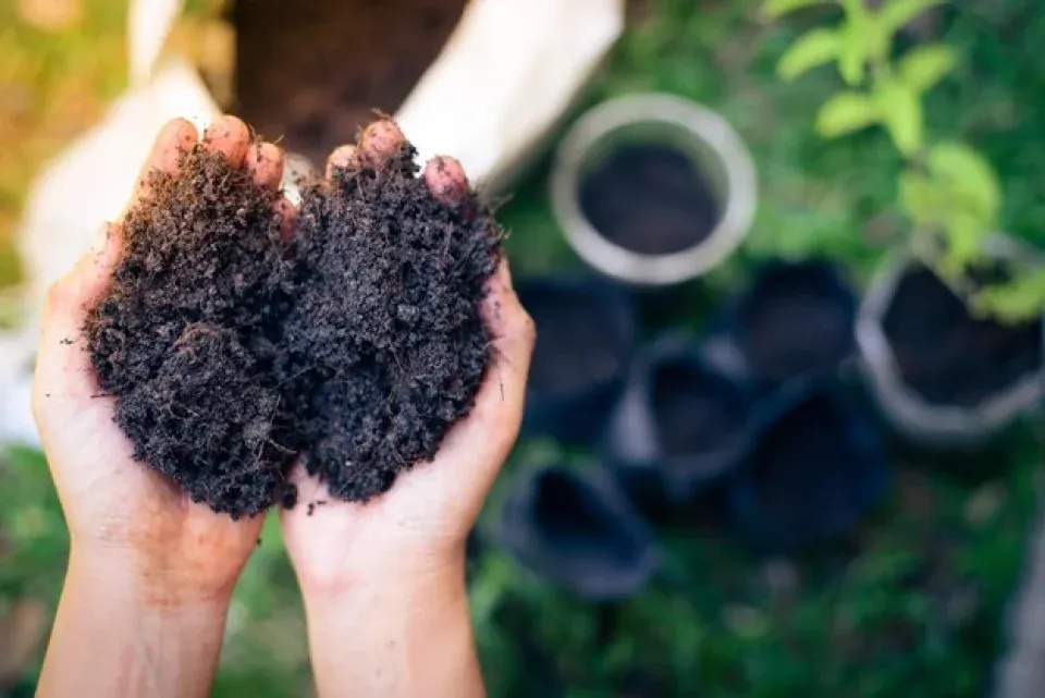 Humic Acid Supplier in Sikti: Nurturing Agric..