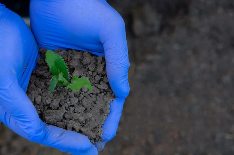 Humic Acid Supplier in Sabarkantha: Unleashin..