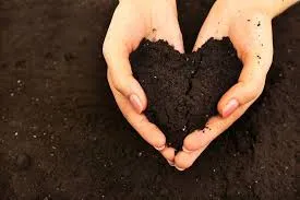 Humic Acid Supplier in Balrampur