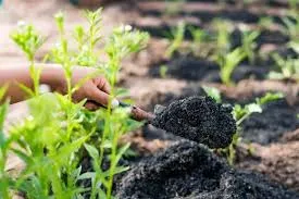 Humic Acid Supplier in Suryapet