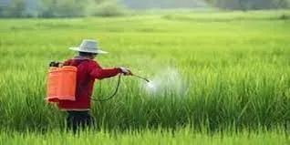 Choosing the Best Bio Larvicide Supplier in K..
