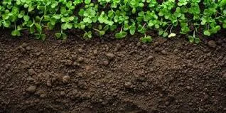 Nurturing Agriculture with Humic Acid: Leadin..