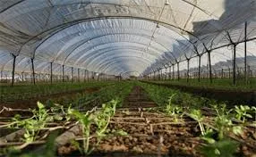 Humic Acid Supplier in Kangra: Nurturing Agri..