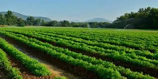 Best Bio-Larvicide Supplier in Upper Siang