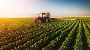 Choosing the Best Bio Larvicide Supplier in B..