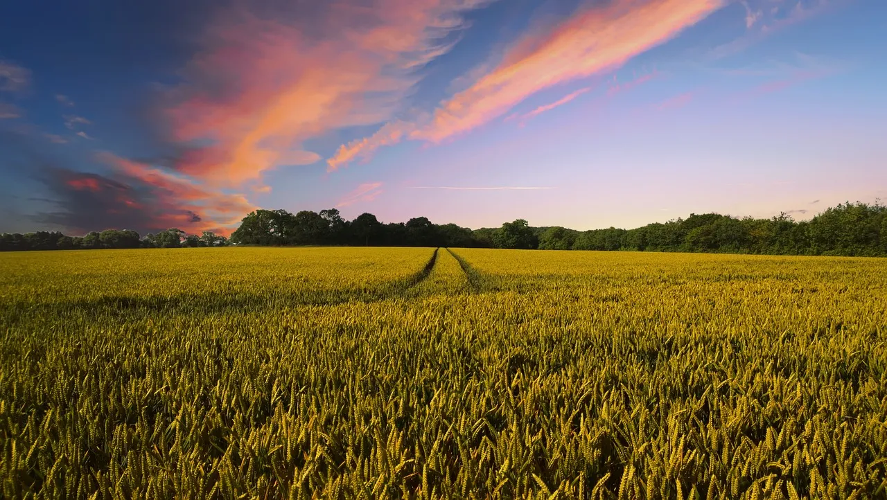 Exploring the Best Bio Larvicide Supplier in ..