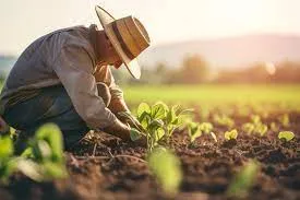 Finding the Best Bio Larvicide Supplier in Bo..