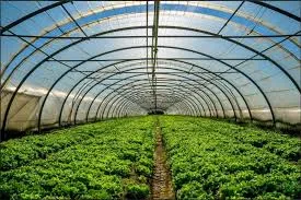 Best Bio Larvicide Supplier in Chennai: A Sus..