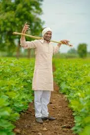 Best Bio Larvicide Supplier in Chhatarpur: Ef..