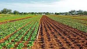 Best Bio-Larvicide Supplier in Dhalai: Combat..