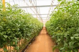 Finding the Best Bio Larvicides Supplier in D..