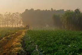Enhance Farming in East Garo Hills with Top-Q..