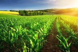 Finding the Best Bio Larvicides Supplier in H..