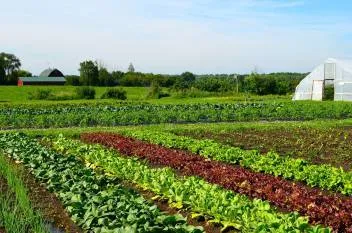 The Ideal Bio Larvicides Supplier for Farming..