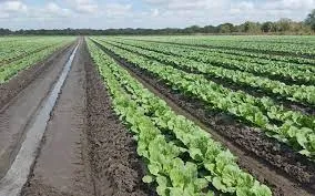 Finding the Best Bio Larvicides Supplier in H..