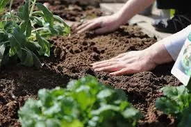Best Bio Larvicides Supplier in Jagitial for ..