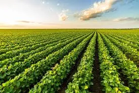 Finding the Best Bio Larvicides Supplier in K..