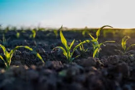 Choosing the Ideal Bio Larvicides Supplier in..