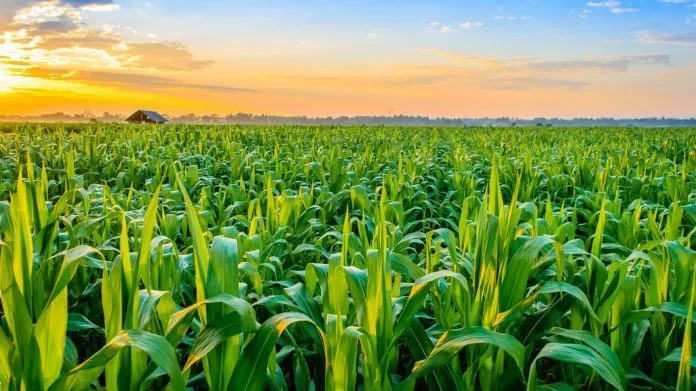 The Best Bio Larvicides Supplier in Kanpur fo..