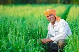Best Bio Larvicides Supplier in Kondagaon: Pr..