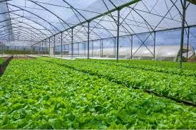 Best Bio-Larvicide Supplier in Lohit: Effecti..