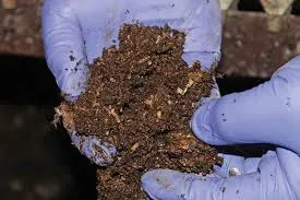 Best Bio-Larvicide Supplier in Narmada: Effec..