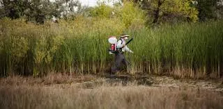 Best Bio-Larvicide Supplier in Navsari: Ensur..