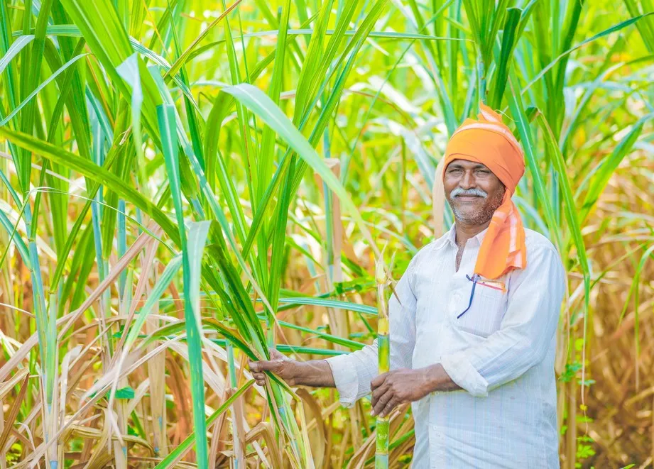 Best Bio Larvicide Supplier in Rae Bareli: A ..