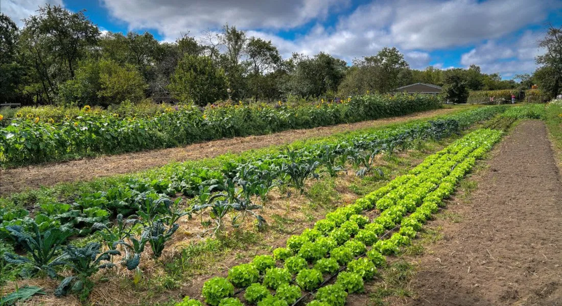 Best Bio Larvicide Supplier in Tawang: An Eco..