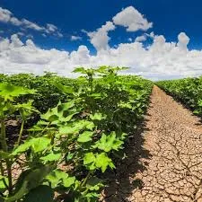 Humic Acid Supplier in Ariyalur: Harnessing t..