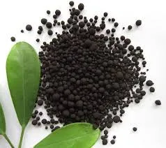 Humic Acid Supplier in Banaskantha: Nurturing..
