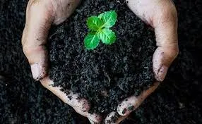 Humic Acid Supplier in Faridkot: Nurturing Ag..