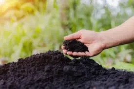 Humic Acid Supplier in Koriya: Nurturing Agri..