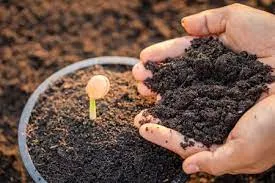 Humic Acid Supplier in Medchal-Malkajgiri: Un..