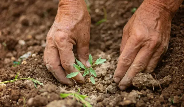 What are the benefits of incorporating bio-pe..