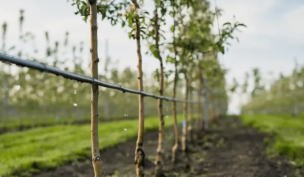 What innovations are shaping the future of wa..