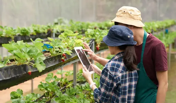 What are the emerging trends in sustainable agriculture and farming technology?