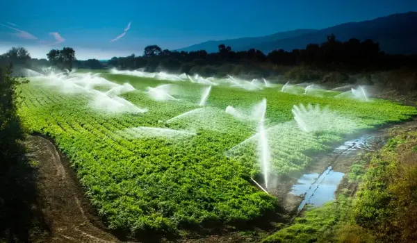 Why is efficient water use crucial for succes..