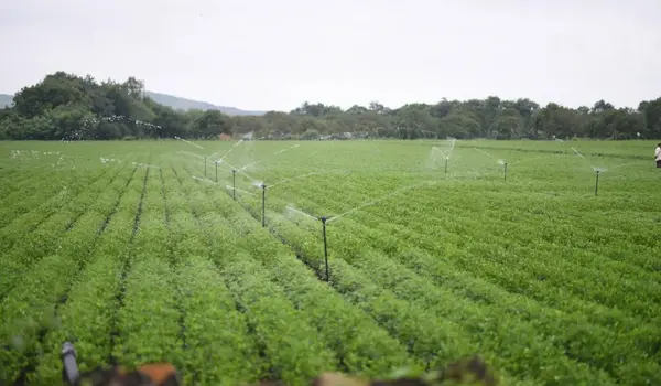 How do farmers balance cost and environmental..