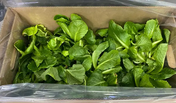 What packaging solutions are best for farm pr..