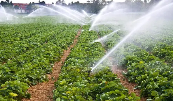 How Do Farmers Reduce Water Waste in Agriculture?