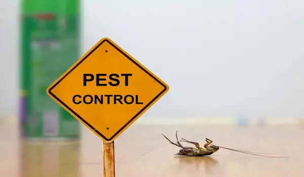 What Are the Most Effective Ways to Control Pests Without Chemicals?