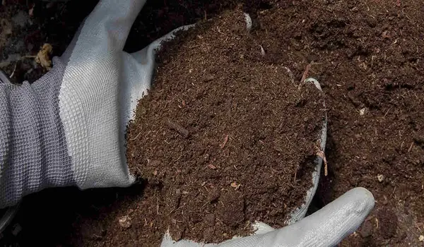 How Do Natural Soil Conditioners Help Improve Crop Growth and Yield?