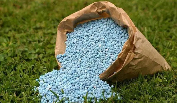 What are the differences between liquid, granular, and powder forms of NPK fertilizer?