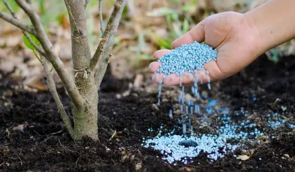 What Is the Difference Between NPK Liquid Fer..