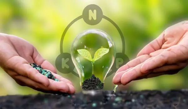 When is the Best Time to Apply NPK 20-20-20 to Achieve Uniform Crop Growth?