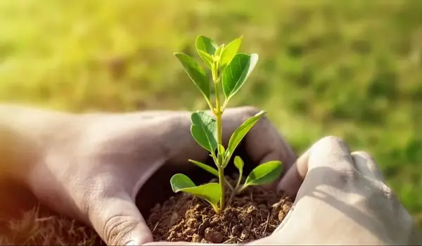 क्या जैविक फंगीसाइड (organic fungicide) फसल क..